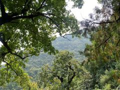 -北京鹫峰国家森林公园