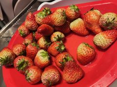 -龍歌自助小火锅(市北CBD万达店)