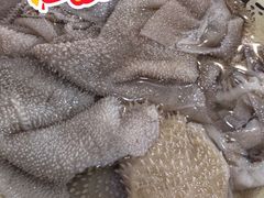 纯鲜毛肚-储奇门鳝鱼火锅(总店)