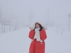 -齐岳山