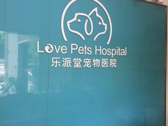 -乐派堂宠物医院·猫友好· 心脏科(东街店)