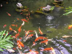 -国恩寺