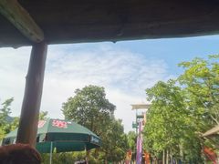 -苏州乐园森林水世界