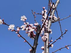 -汉长安城未央宫国家考古遗址公园