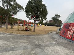 -上海都市菜园