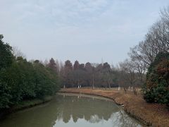 -上海海湾国家森林公园