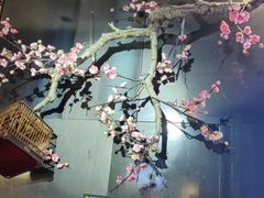 -老板恋上鱼(高新万达店)
