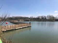 -桤木河湿地公园