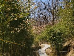 -竹子庵公园