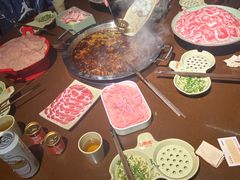 -巴倒烫陆派火锅山庄(南山总店)