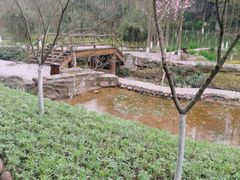 -重庆彩云湖湿地公园