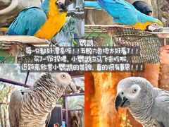 -灵玲国际马戏城