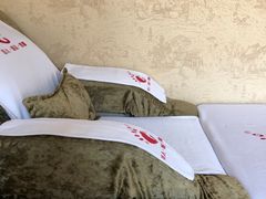 -津派修脚(密云路店)