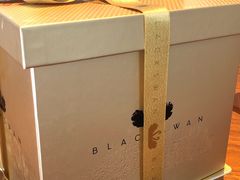 -BLACKSWAN黑天鹅(环球店)