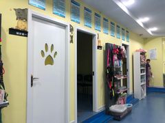 -瑞鹏宠物医院·爱宠堂·骨外专科(西荷分院)