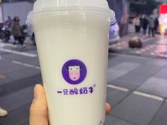 -一只酸奶牛(八一路店)