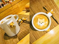 -柴务处·柴犬主题狗咖