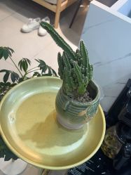 -Cream88颜皮肤管理中心