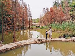 -云溪植物园