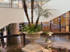 -白天鹅宾馆·月兔吧