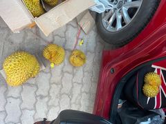 -东方鼎信农副产品交易中心