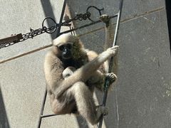-昆明动物园