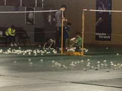 -杭州城北体育公园