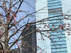 -天河体育中心