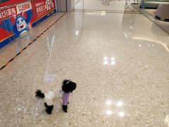 -红星美凯龙北京至尊MALL(东四环中路店)