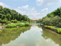 -映月湖公园