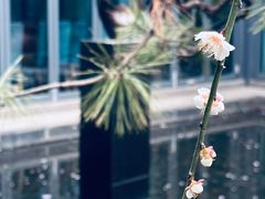 -静安雕塑公园