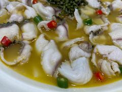 -青花椒花椒鱼(合生汇店)