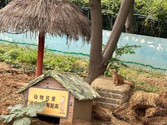 -无锡动物园·太湖欢乐园