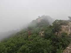 -大岭沟猕猴桃谷风景区