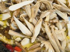 -蘑统田下·野生菌火锅