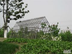 -白塘生态植物园