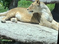 -北京野生动物园