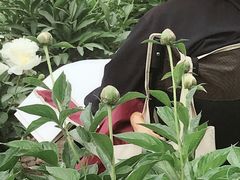 -国家植物园(南园)