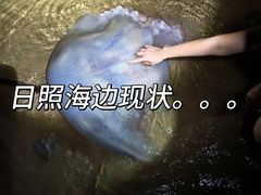 -日照海滨国家森林公园