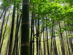 -敬亭山风景名胜区