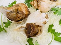 深海大响螺-宜兴隆家宴·私房菜(泰安华庭店)