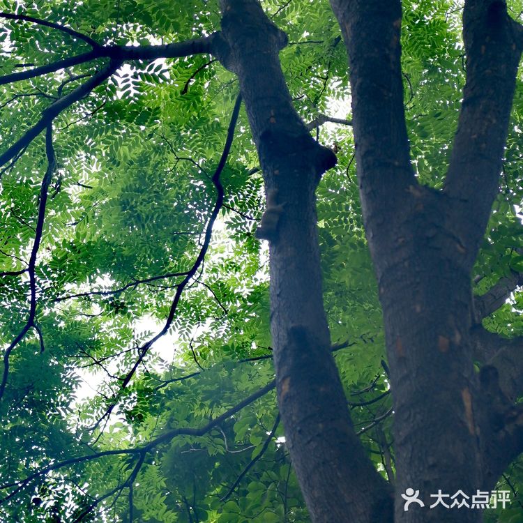 水上巴士7号线，体味老杭州的味道