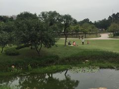 -海珠儿童公园