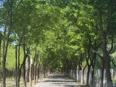 -东郊湿地公园