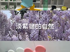 -上海尚嘉中心
