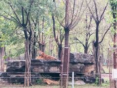 -秦皇岛野生动物园