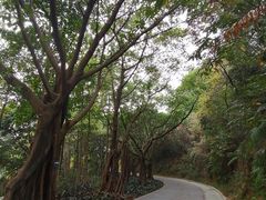 -云溪植物园