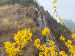-黄花溪