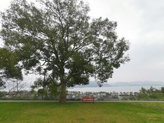 -东钱湖小普陀景区