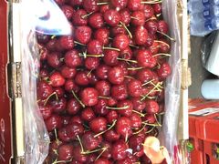 -沈阳市八家子水果批发市场